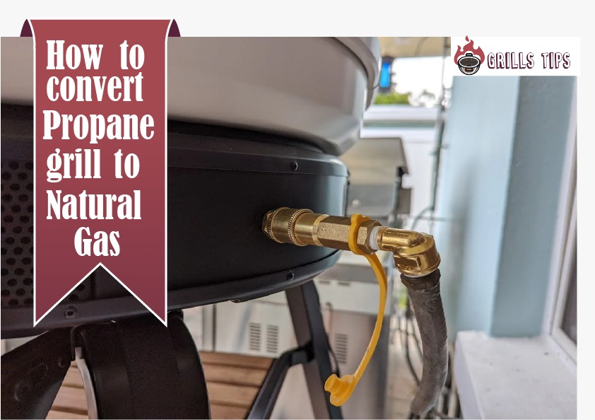 How To Convert Propane Grill To Natural Gas 